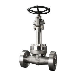 cryogenic valve