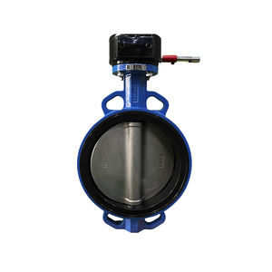 concentric valve