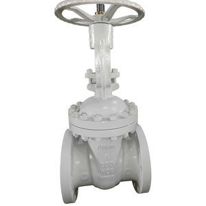 valve with bellows seal 1