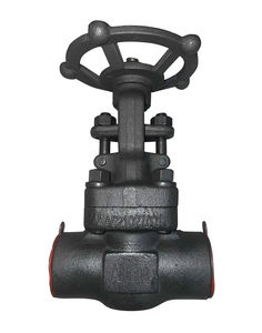gate valve 1