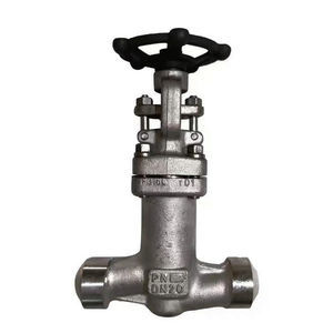 valve with bellows seal 1
