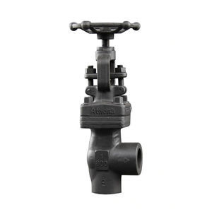 globe valve 1