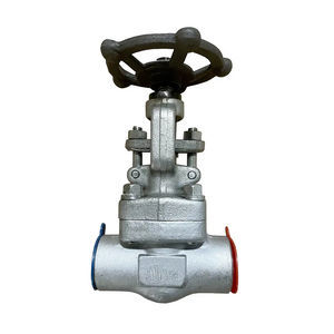 globe valve