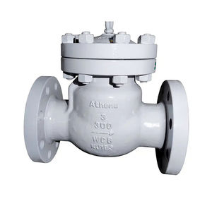 swing check valve