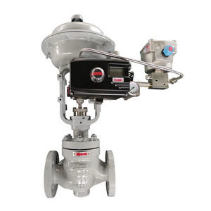 globe valve 1