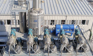 番茄酶失活系统