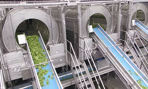 fruit washing machine