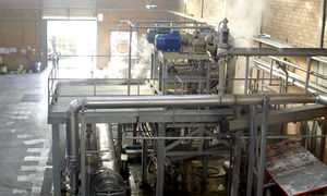 水果酶失活系统