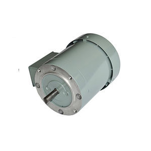 asynchronous motor 1