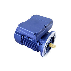 motor with run and start capacitors / single-phase / asynchronous / 220 V