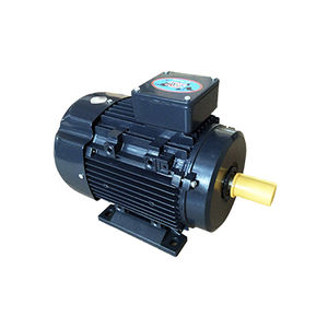 single-phase motor / induction / IP55 / for pumps