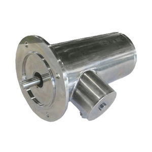 three-phase motor