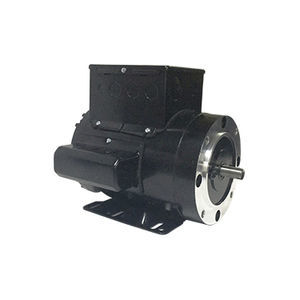 hydraulic motor