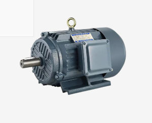 induction motor 1