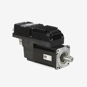 integrated-drive servomotor