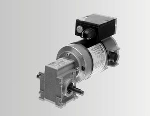 worm gear-motor