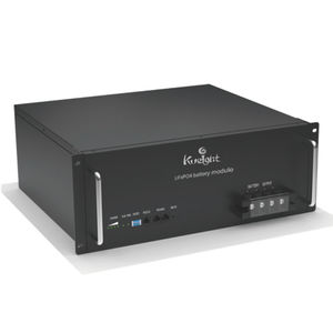 LiFePO4 battery module
