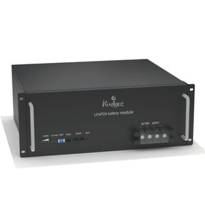 LiFePO4 battery module