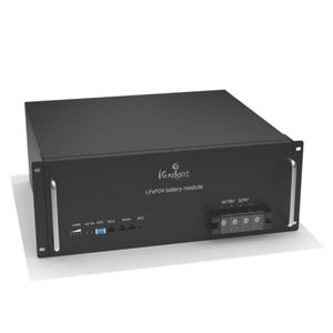 LiFePO4 battery module