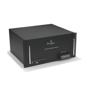 LiFePO4 battery module