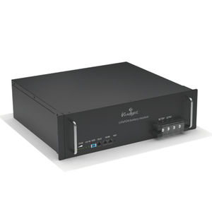 LiFePO4 battery module