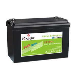 LiFePO4 battery
