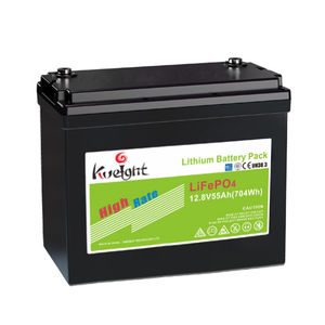 LiFePO4 battery