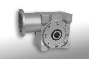 worm gear reducer