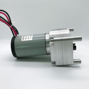 DC gear-motor