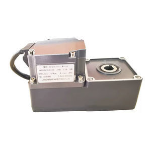 BLDC gear-motor 1