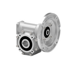 worm gearbox 1