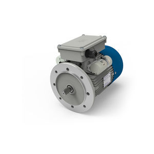 single-phase brake motor 1