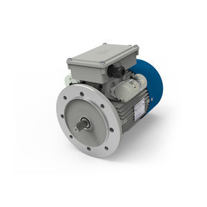 three-phase brake motor 1
