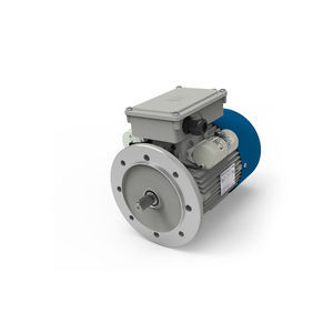 three-phase brake motor 1