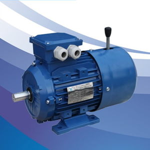 three-phase motor