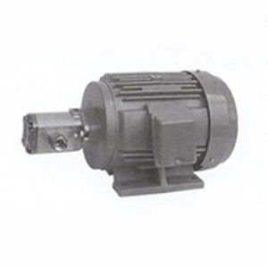 hydraulic gear pump