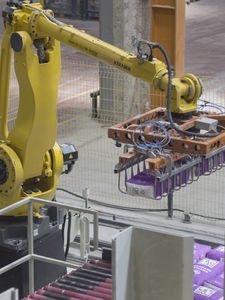 拾起并定位机器人细胞