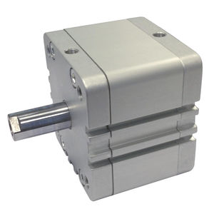 pneumatic cylinder