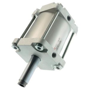 pneumatic cylinder