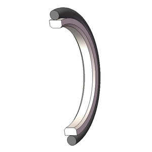 toroidal seal