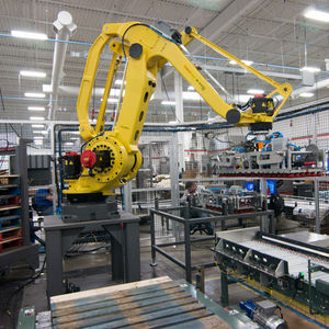 robotic palletizer / case / package / carton