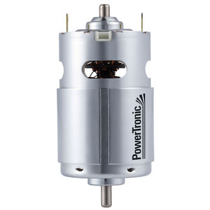 DC motor / brushed / 24V / 12V