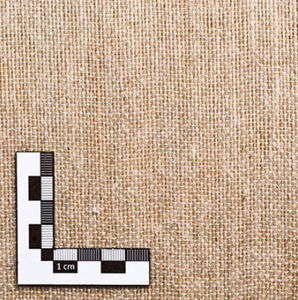 unidirectional technical fabric