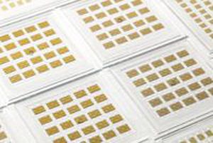 高透射率偏振器