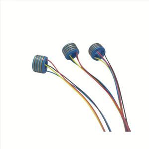 electric slip ring