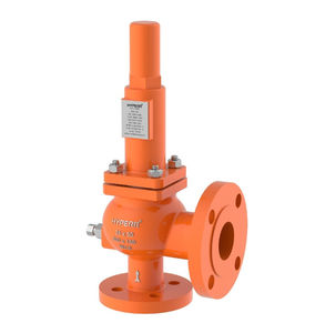 gas pressure relief valve