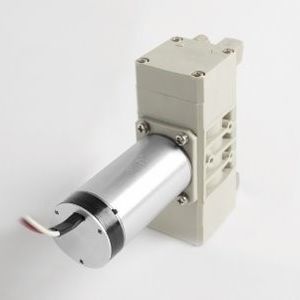 diaphragm pump 1