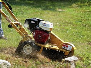 stump grinder