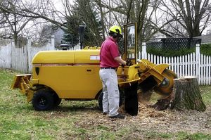 self-propelled stump grinder