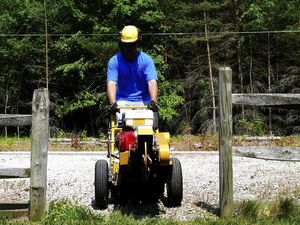 stump grinder
